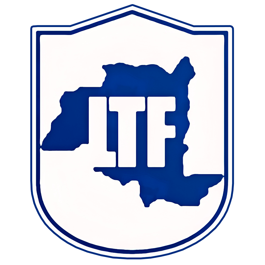 Liga Tinogasteña de Fútbol