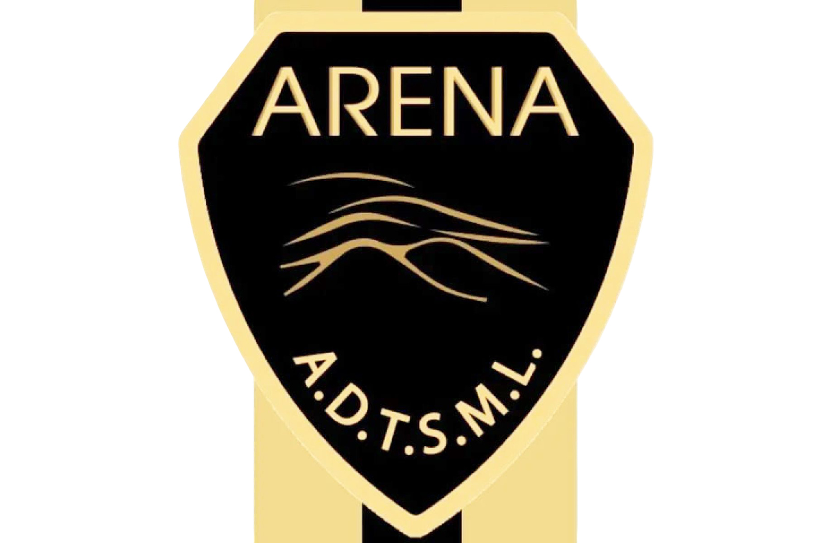 Arena Club (Gral. Madariaga)