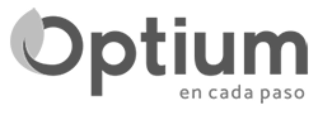 logo-optium-2019-negro