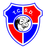 Toro Club (Coronel Moldes)